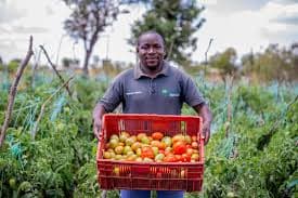 Cameroonian farmer in the field